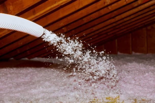 Best Insulation Maintenance and Repair in Castlewood, VA