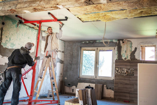Best Geographic-Specific Insulation Services in Castlewood, VA