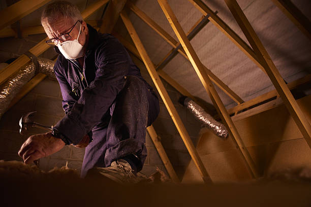 Best Cellulose Insulation in Castlewood, VA